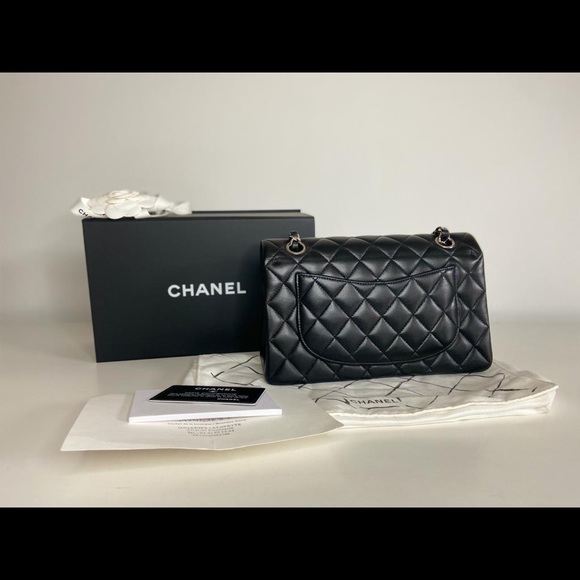 Chanel Small Double Flap Bag - Picture 3 of 16